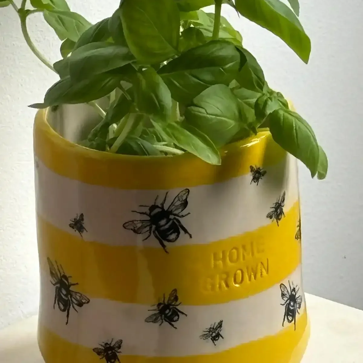 Sunny Bee ‘HOME GROWN’ Planter