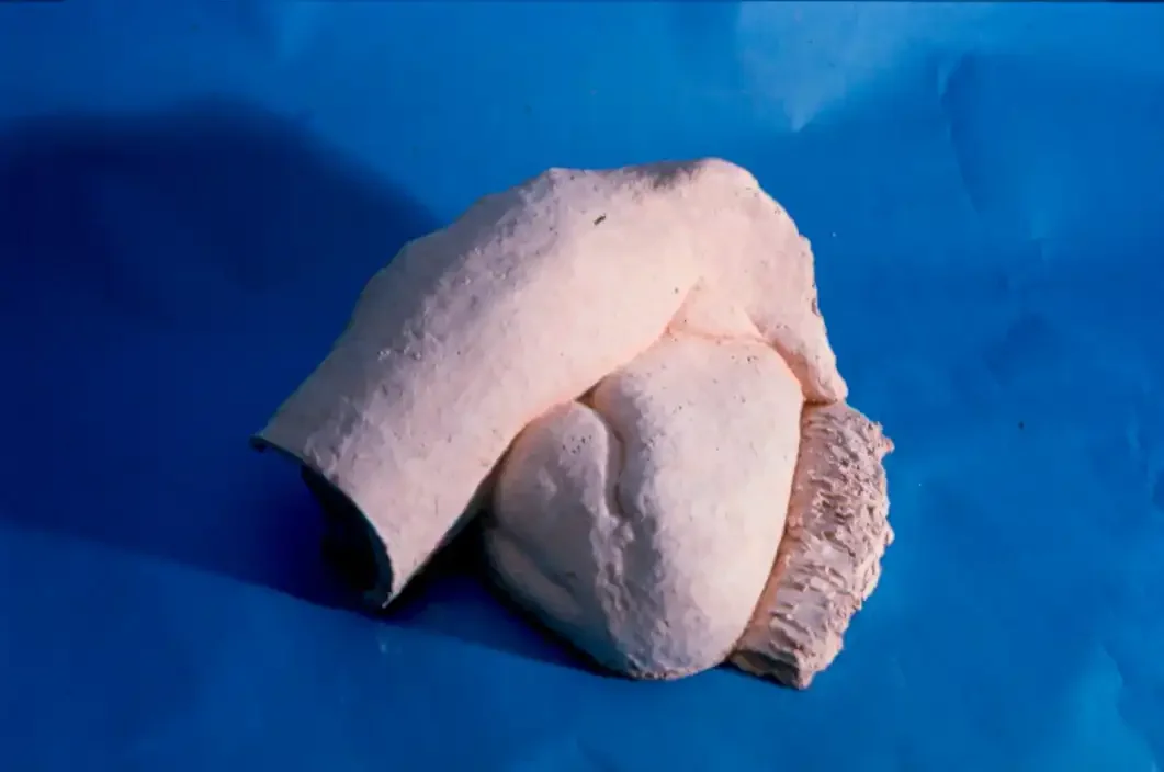 Sculpture of the knee and leg section of a body in fired clay.