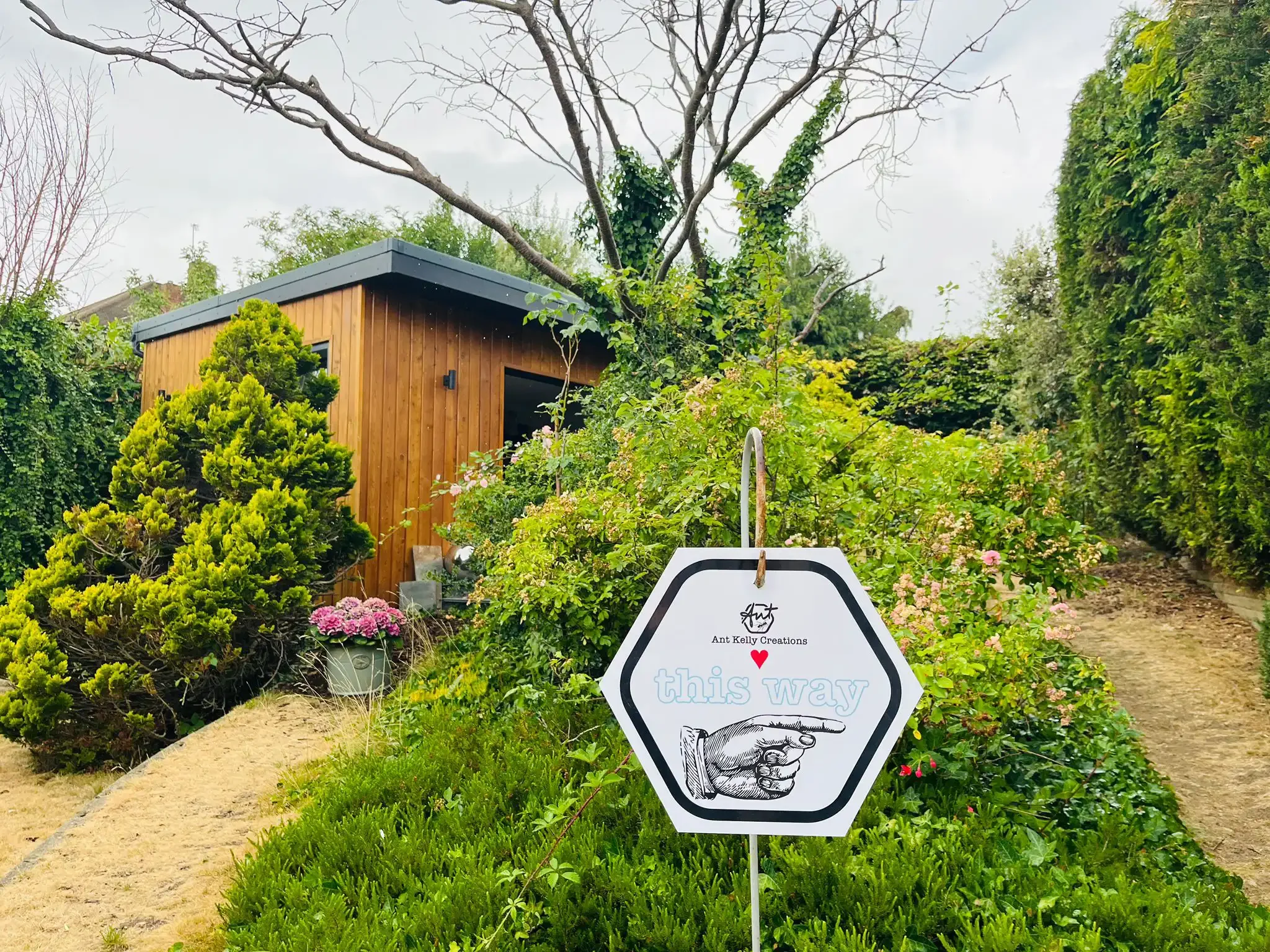 Sign that says "this way" with an arrow and a pointing hand graphic, surrounded by green bushes and plants, Ant Kelly Creations studio in the background.