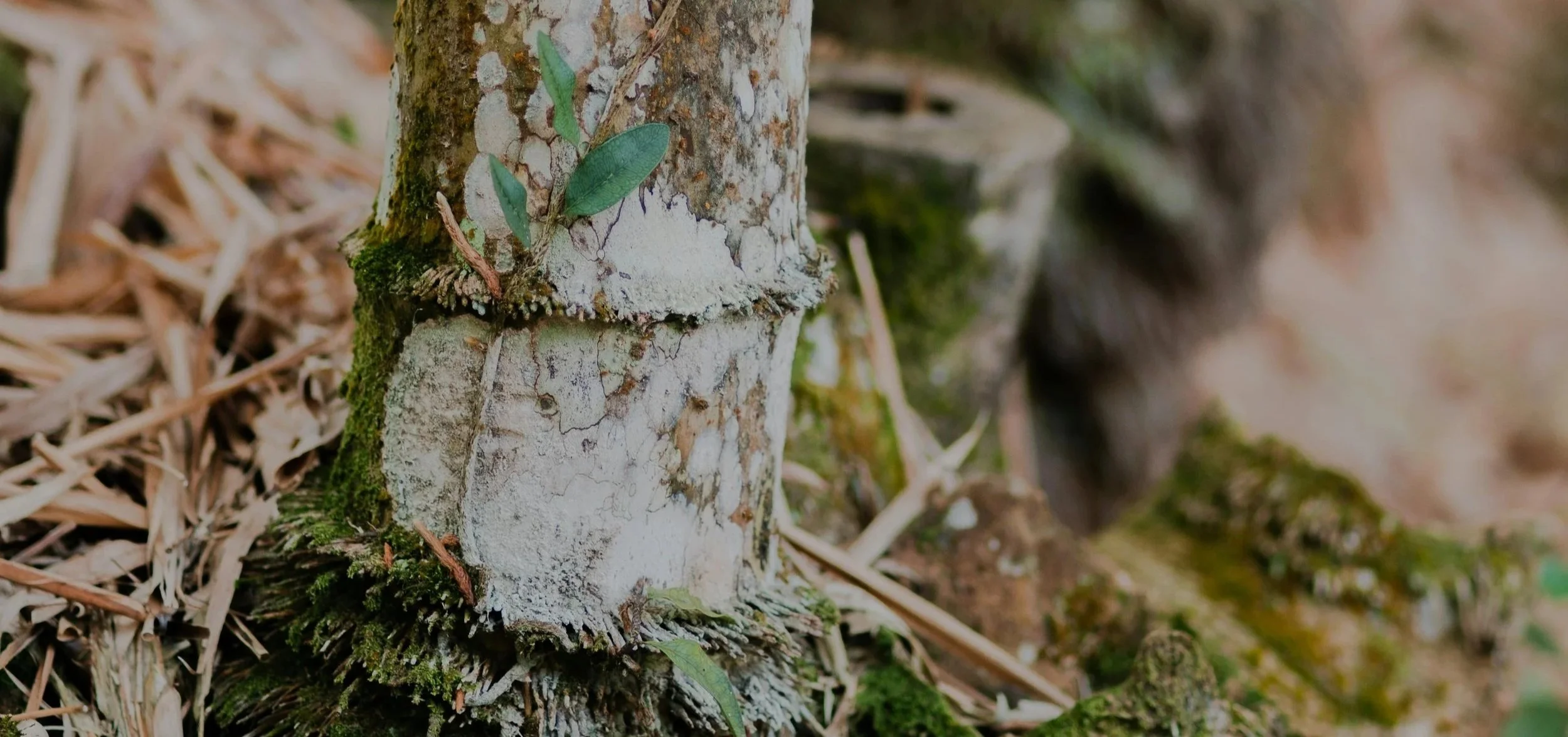 Clinique Santé de l'Aéroport : pour retrouver la santé et le bien-être de la façon la plus naturelle possible.