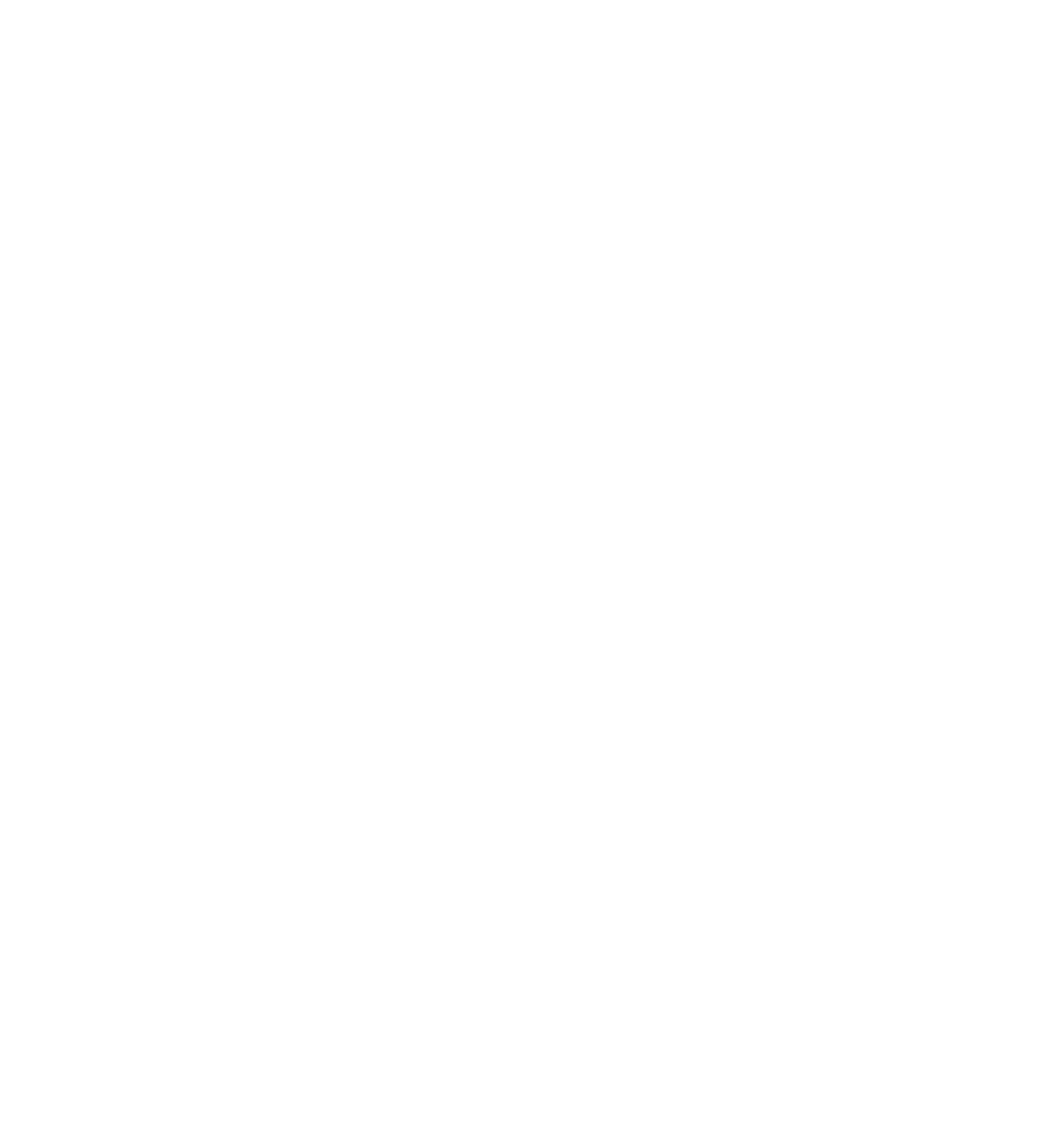 Logo Clinique Santé Aéroport