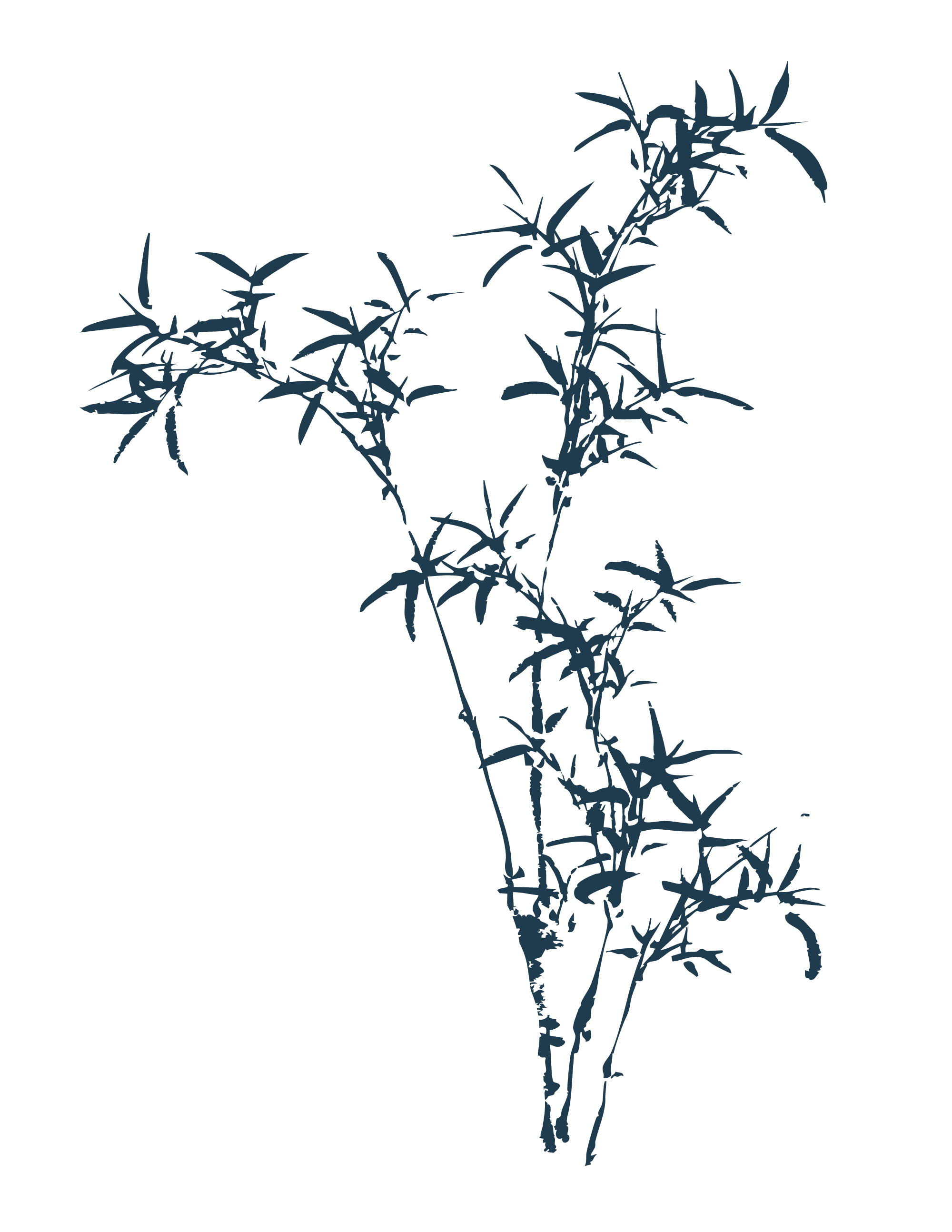 L'acupuncture, une pratique thérapeutique millénaire