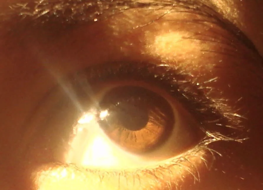 I&rsquo;ve got a glimmer in my eye&hellip;