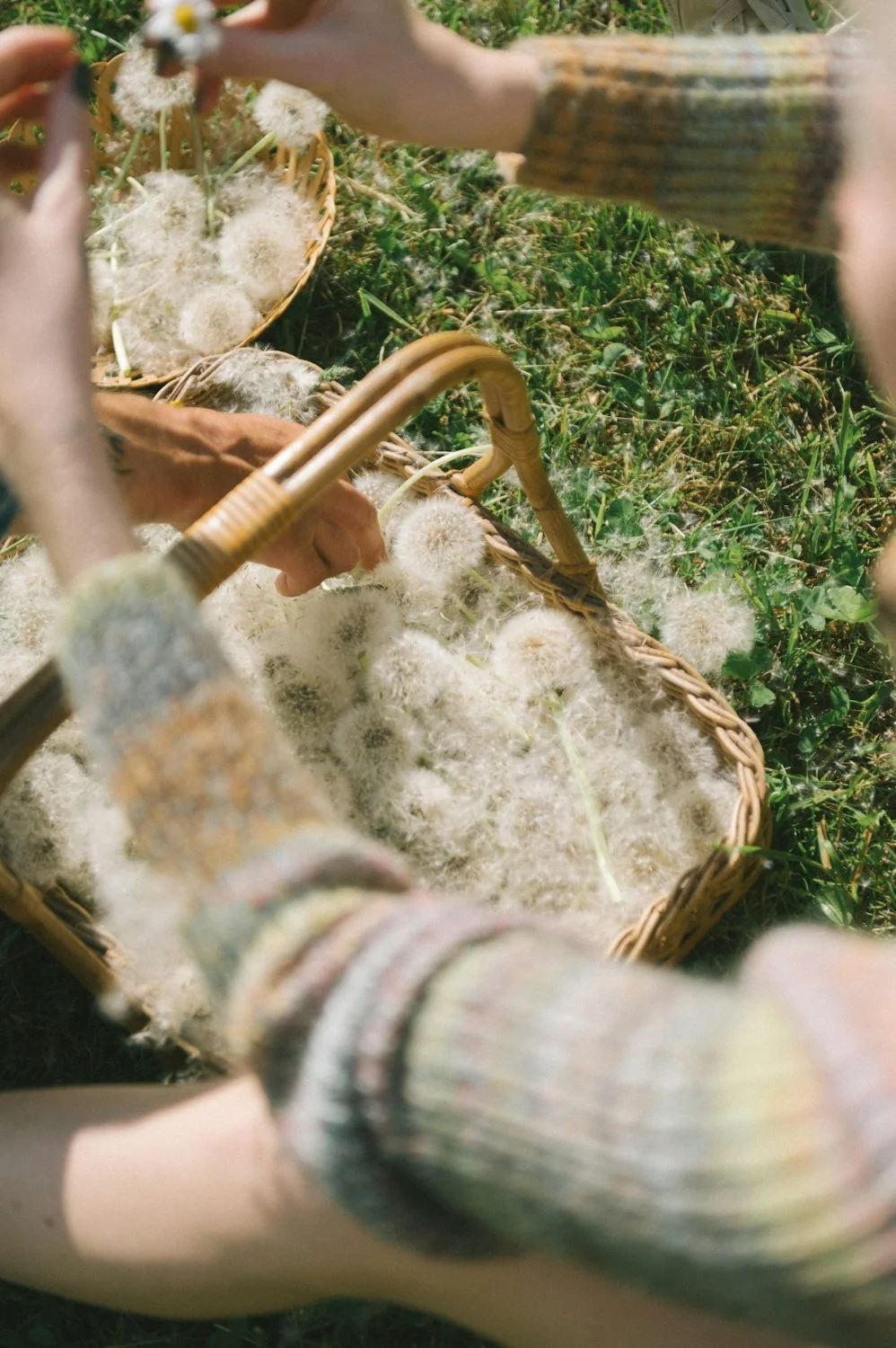 This keynote talk explores the losses that come from never stopping, never refueling, and never creating space for restoration.