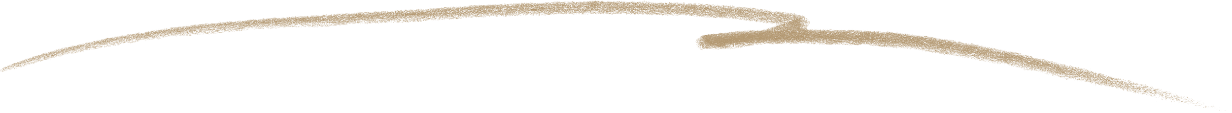 Decorative line for coach and speaker.