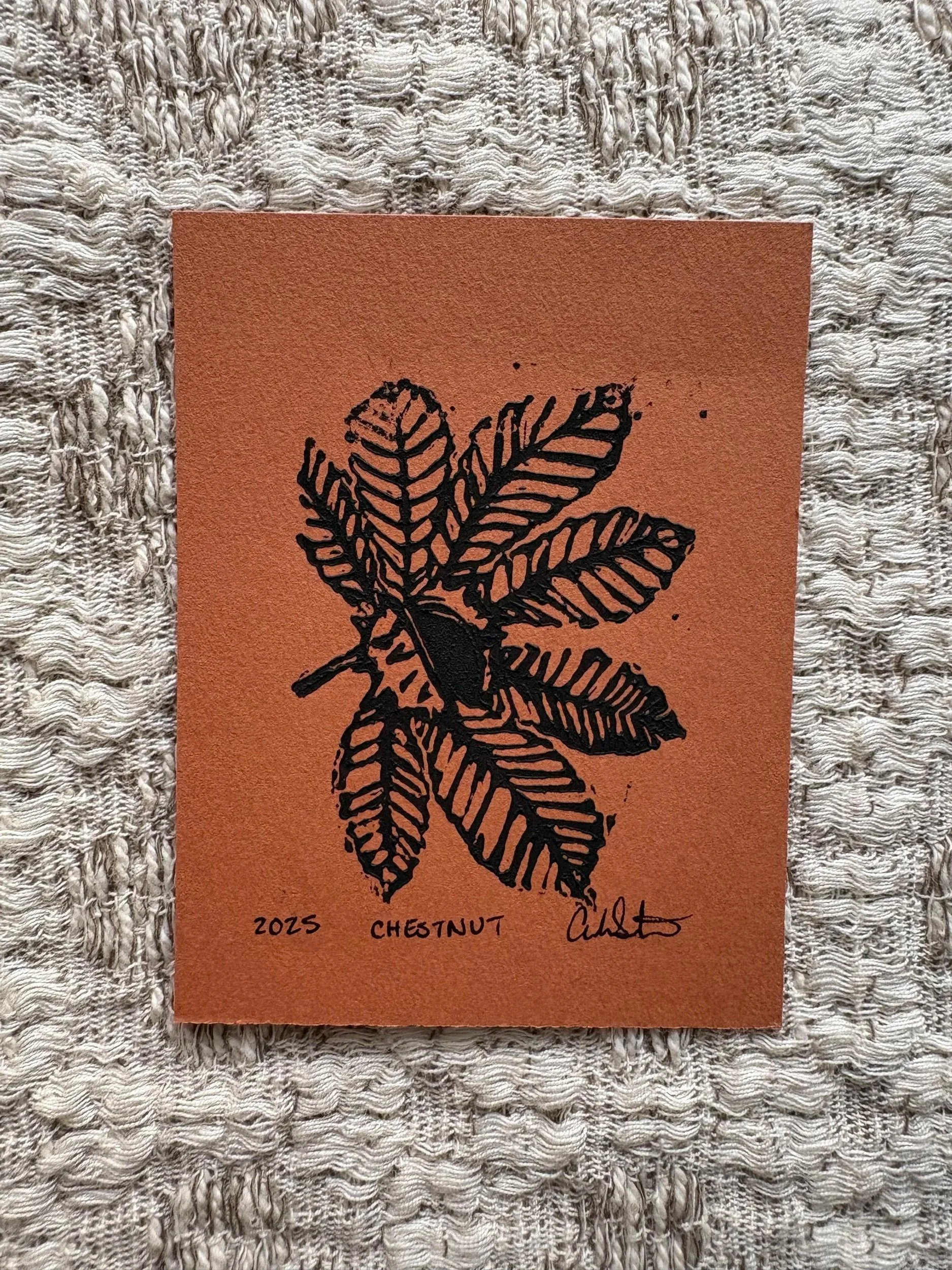 Chestnut 3x4 Mini Prints