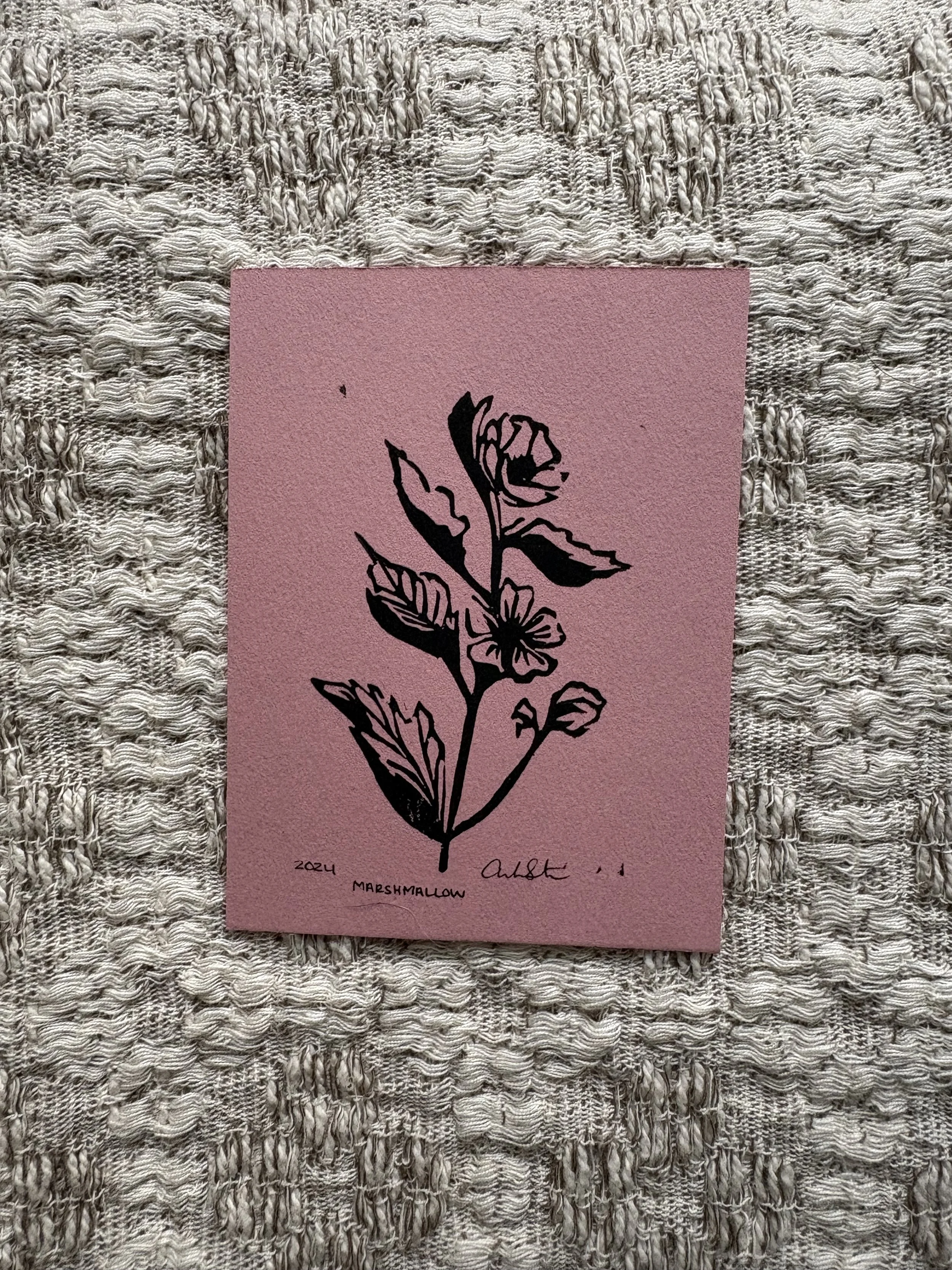 Marshmallow Plant 3x4 Print