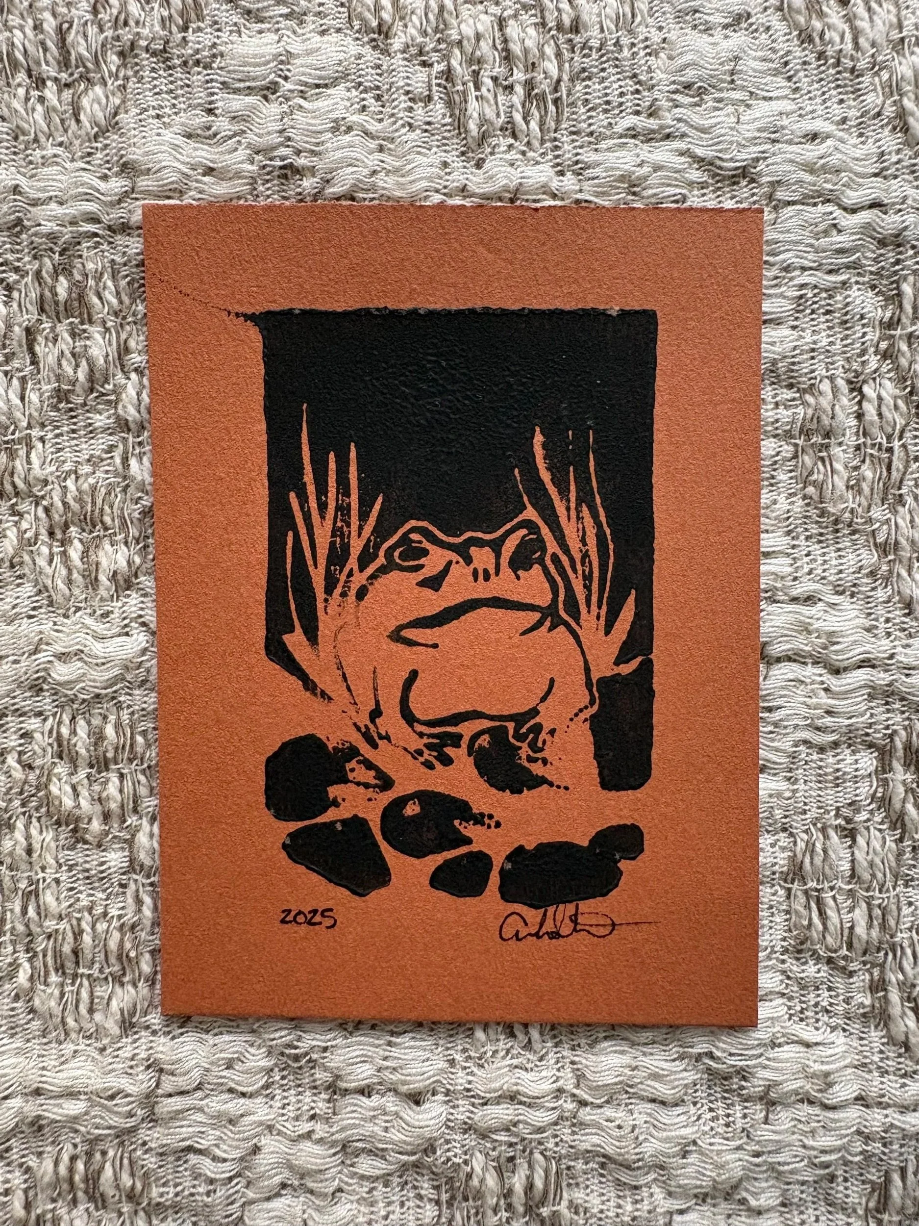 Toad 3x4 Mini Print
