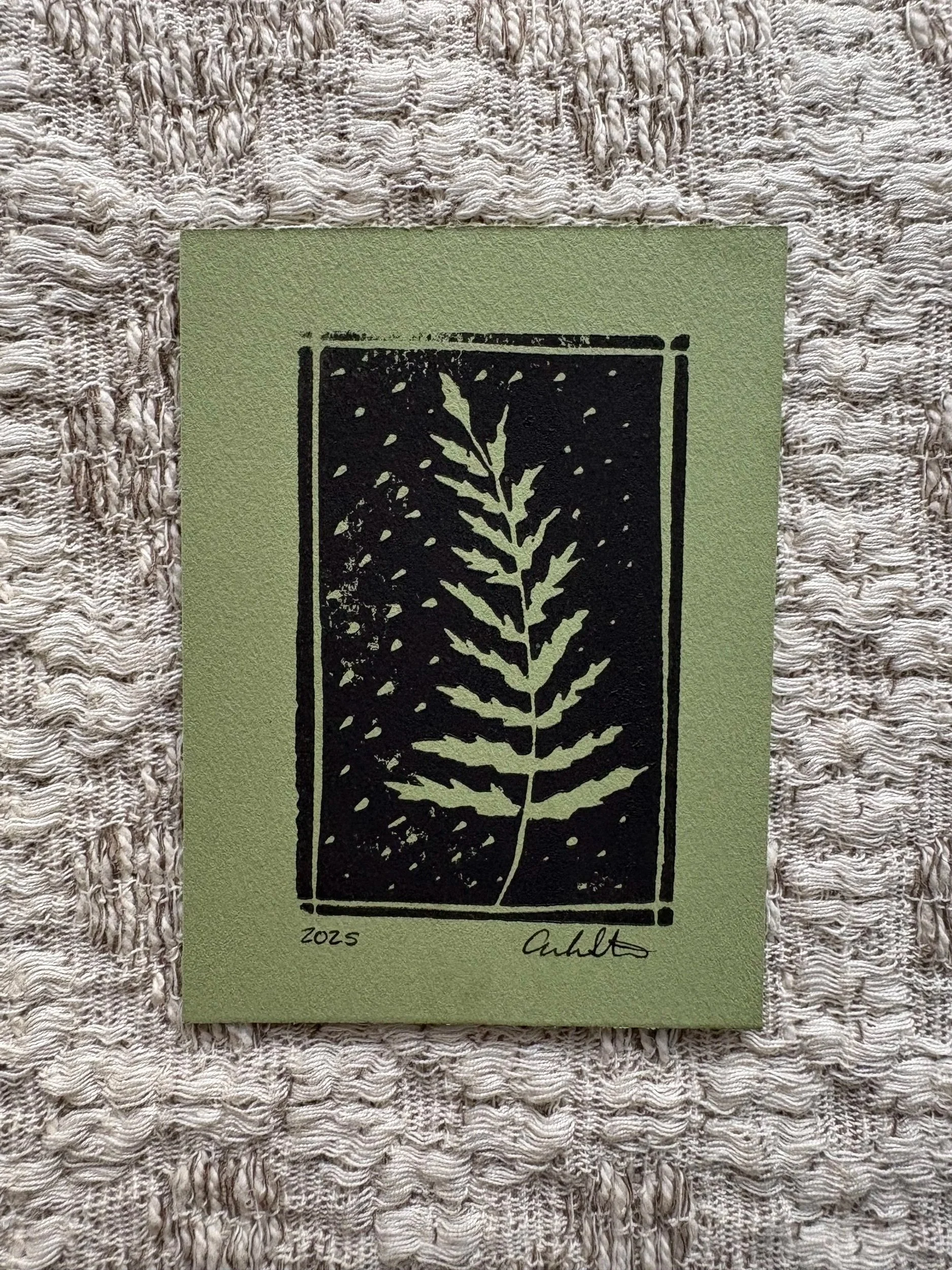 Fern 3x4 Mini Print