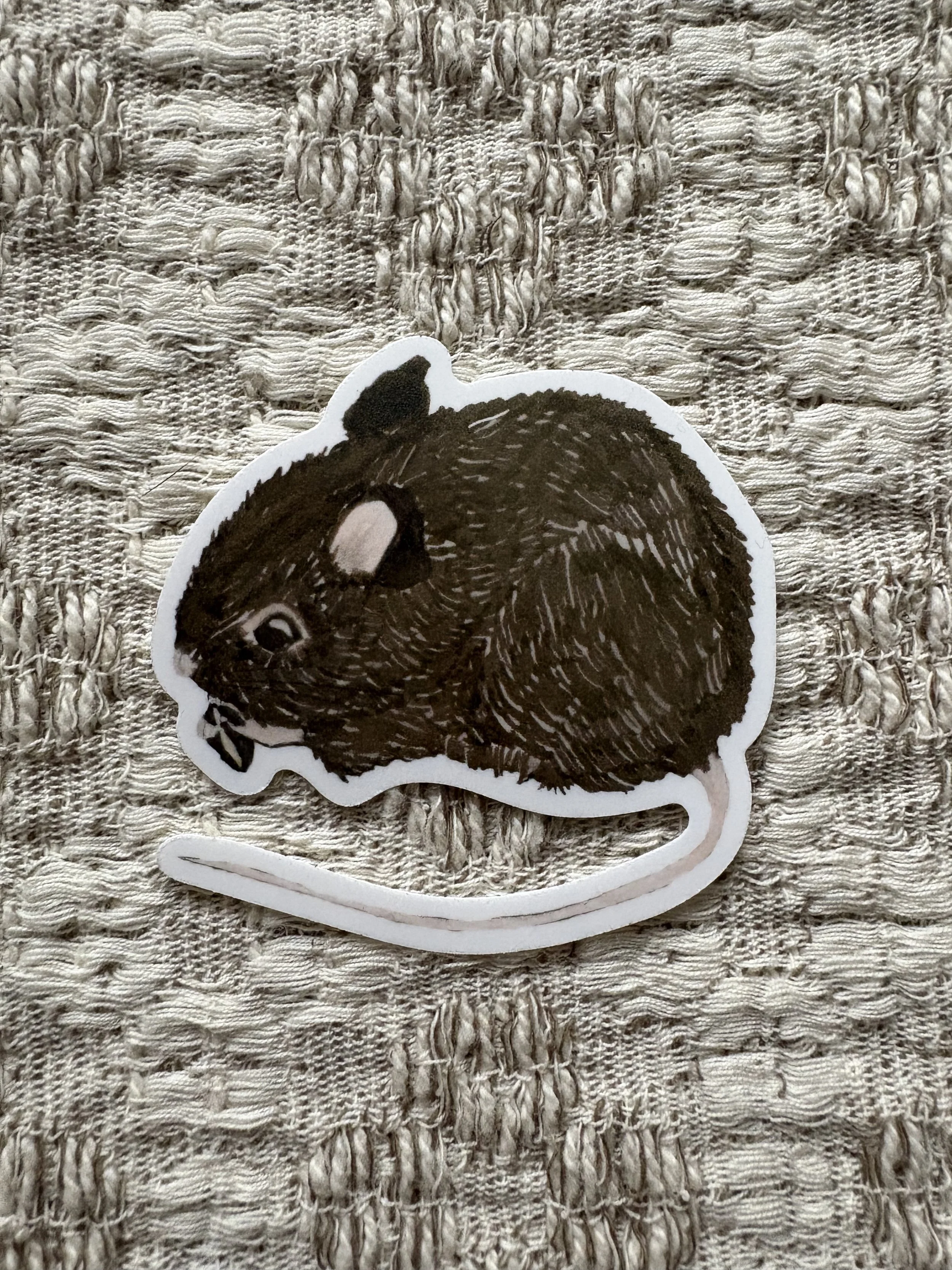 Field Mouse Drawing Vinyl Sticker