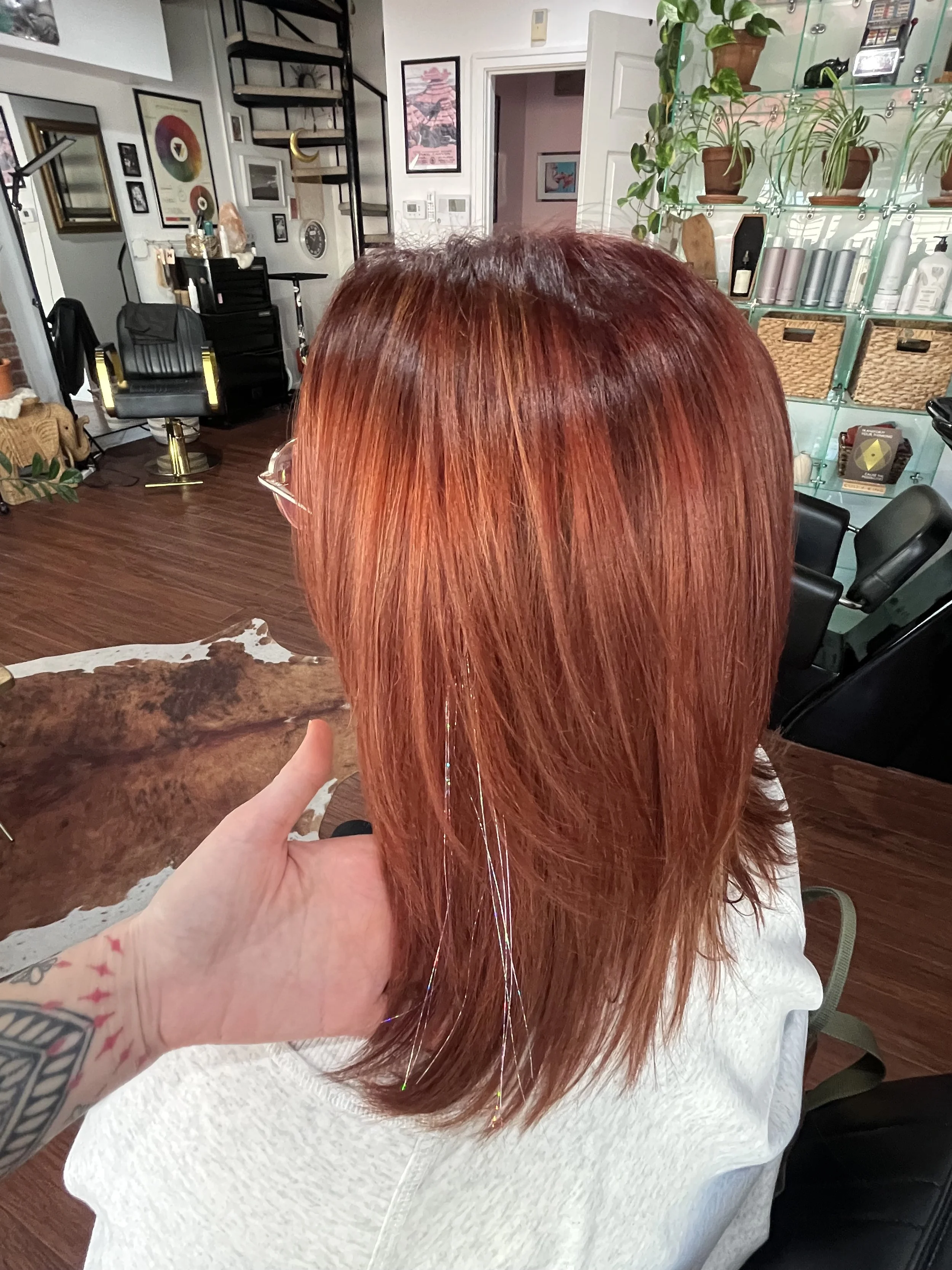 Back of a person's head with reddish-brown, layered hair styled with a side part, inside a salon with mirrors, plants, and hair products.