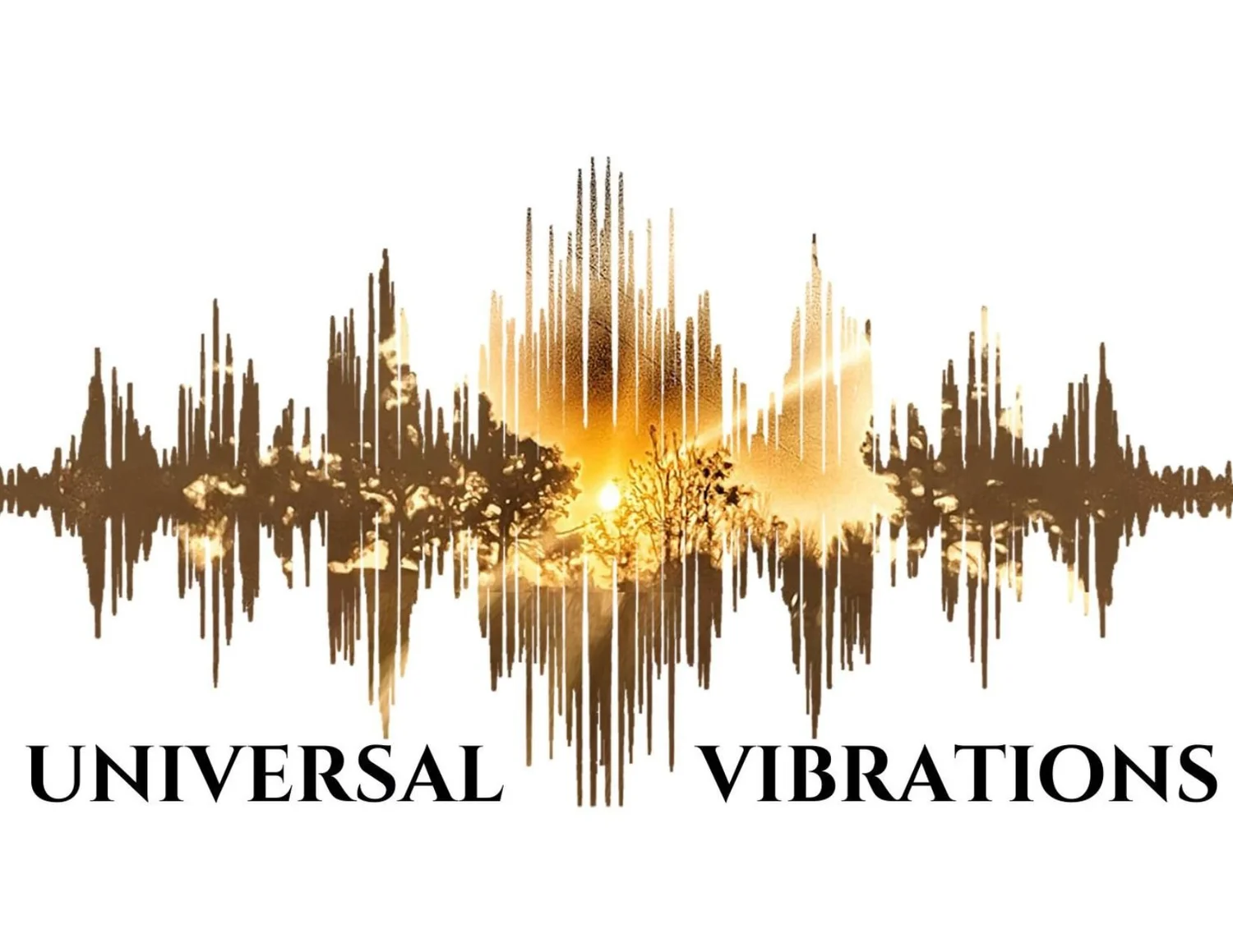 Universal Vibrations Experience 