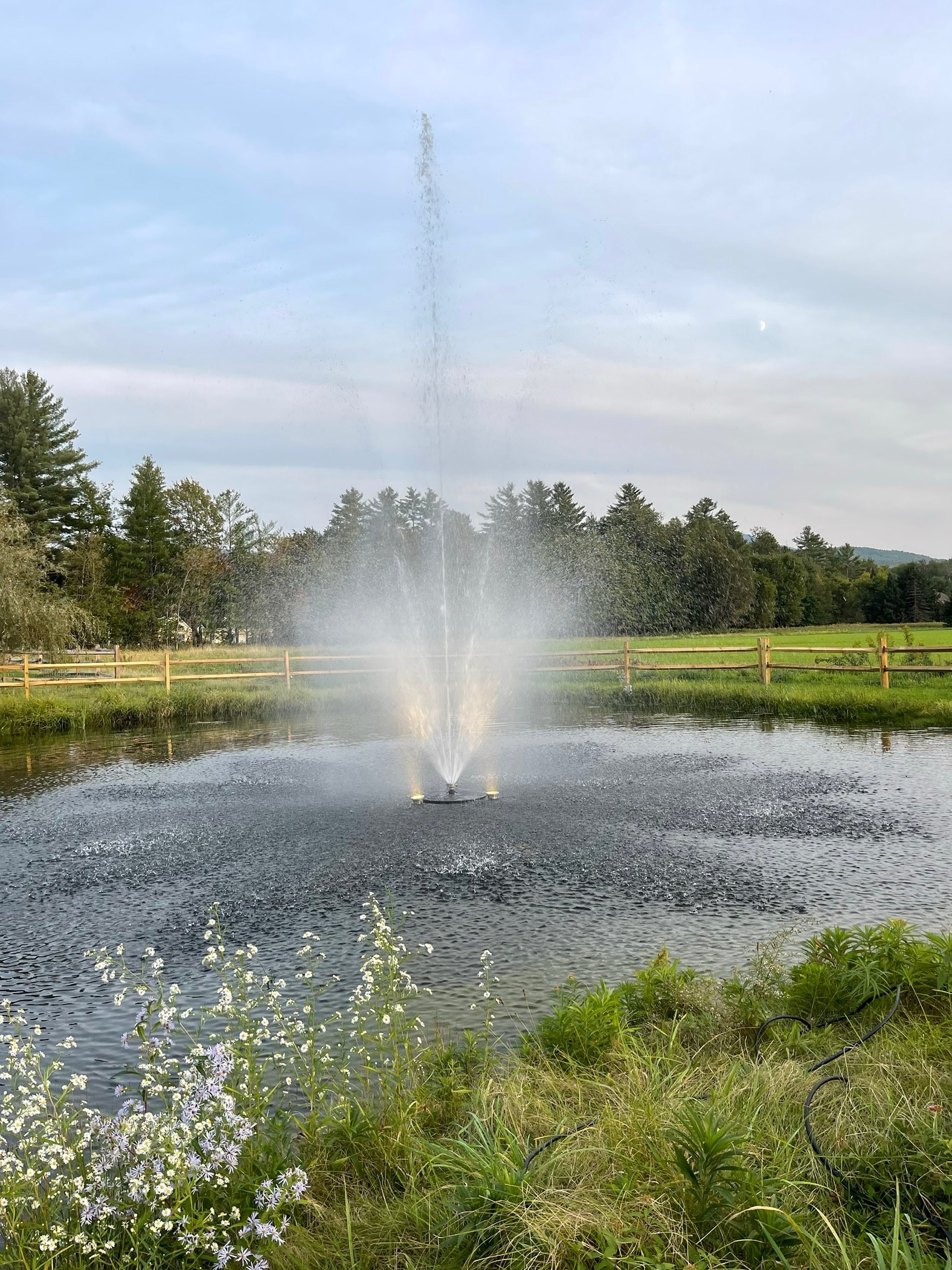 Light fixture installation