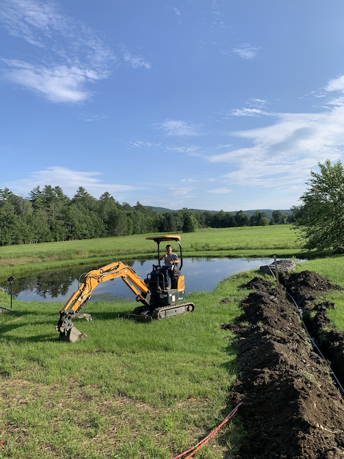 Pond cleanup process