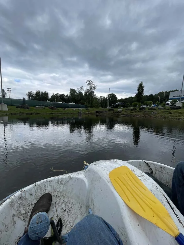 Skimming the last few weeds from the pond
