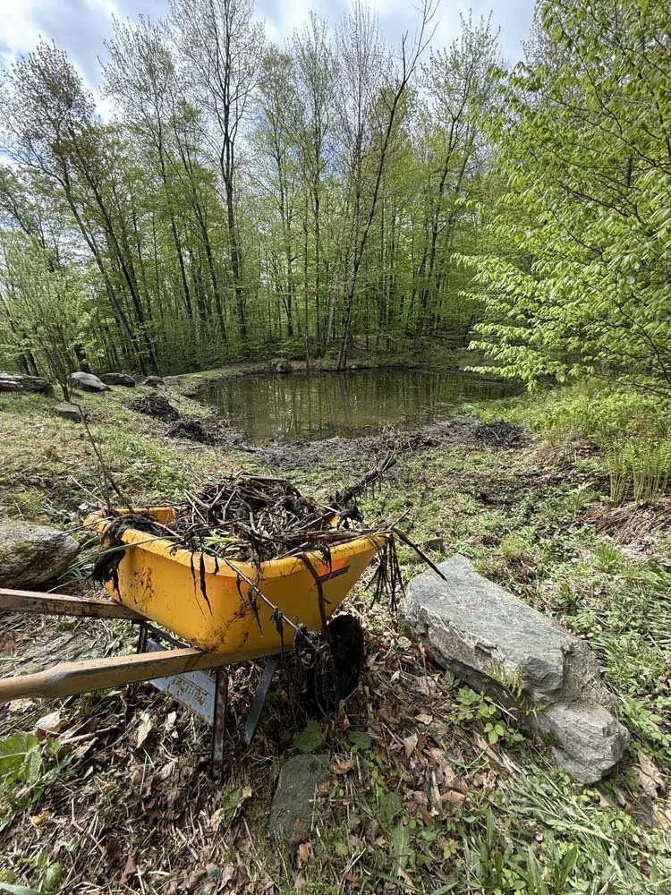 Eric and team collect the debris for removal