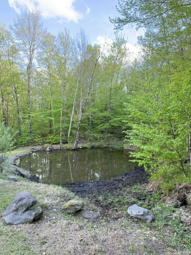 The pond still requires edge work.