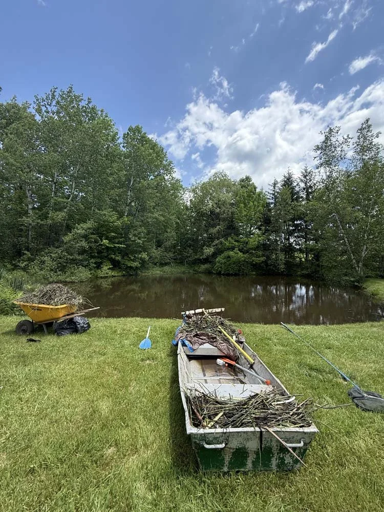 Once filled, the rowboat is emptied onto the shore. 