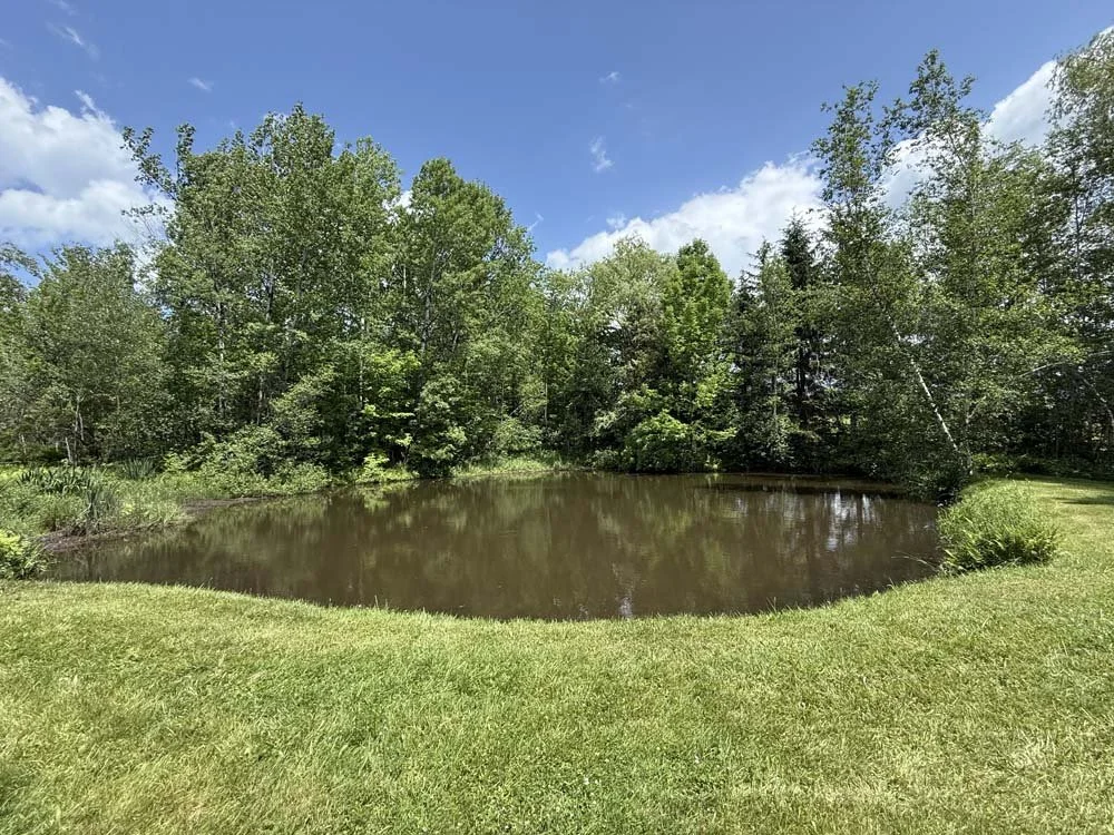 Pond cleanup is complete!
