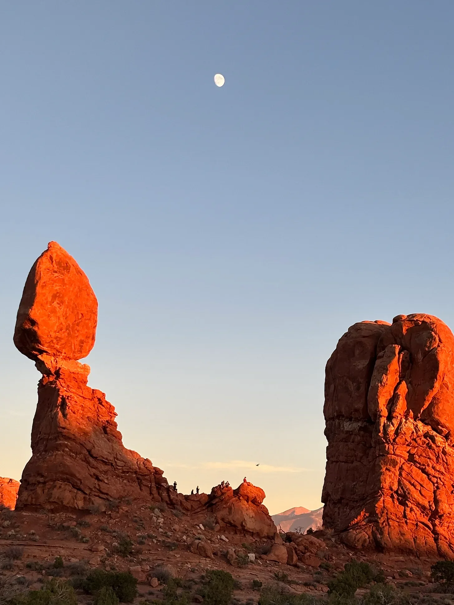 Horoscope Principles for the week of November 17, 2025