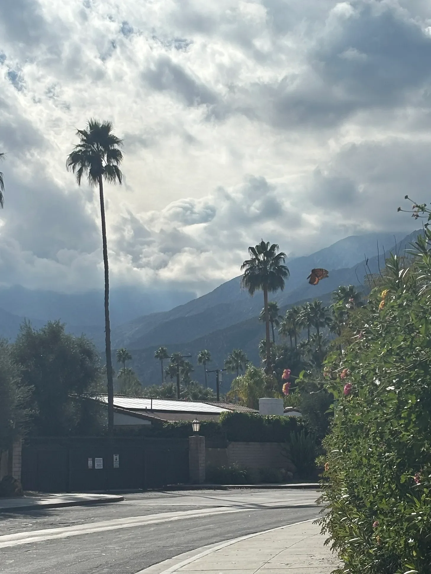 Horoscope Principles for the week of January 5, 2026