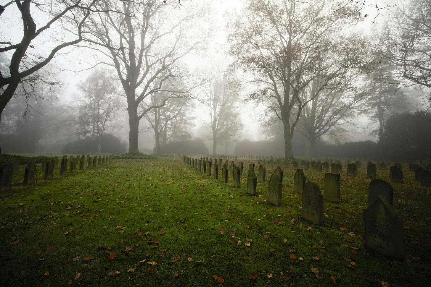 The Fog of War: Horoscopes April 6-12, 2026