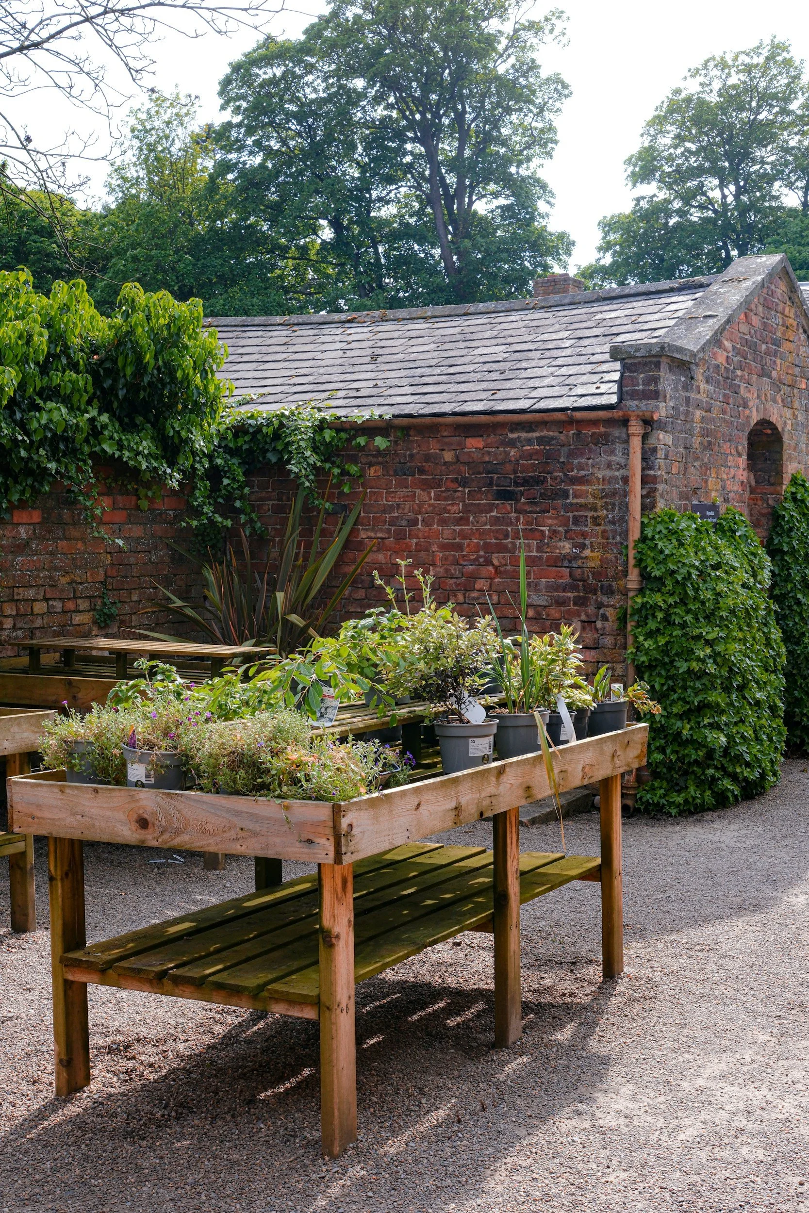 Wooden outdoor plant table with potted plants against a brick building wall, surrounded by trees and bushes.