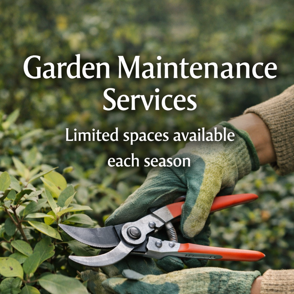 Residential Landscape Maintenance Packages