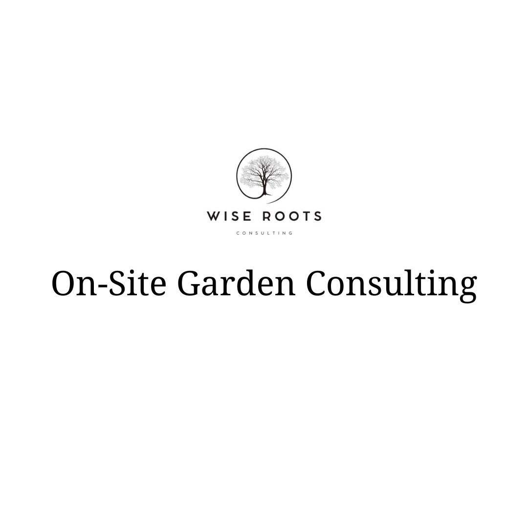 On-Site Garden Consultation & Planning Session