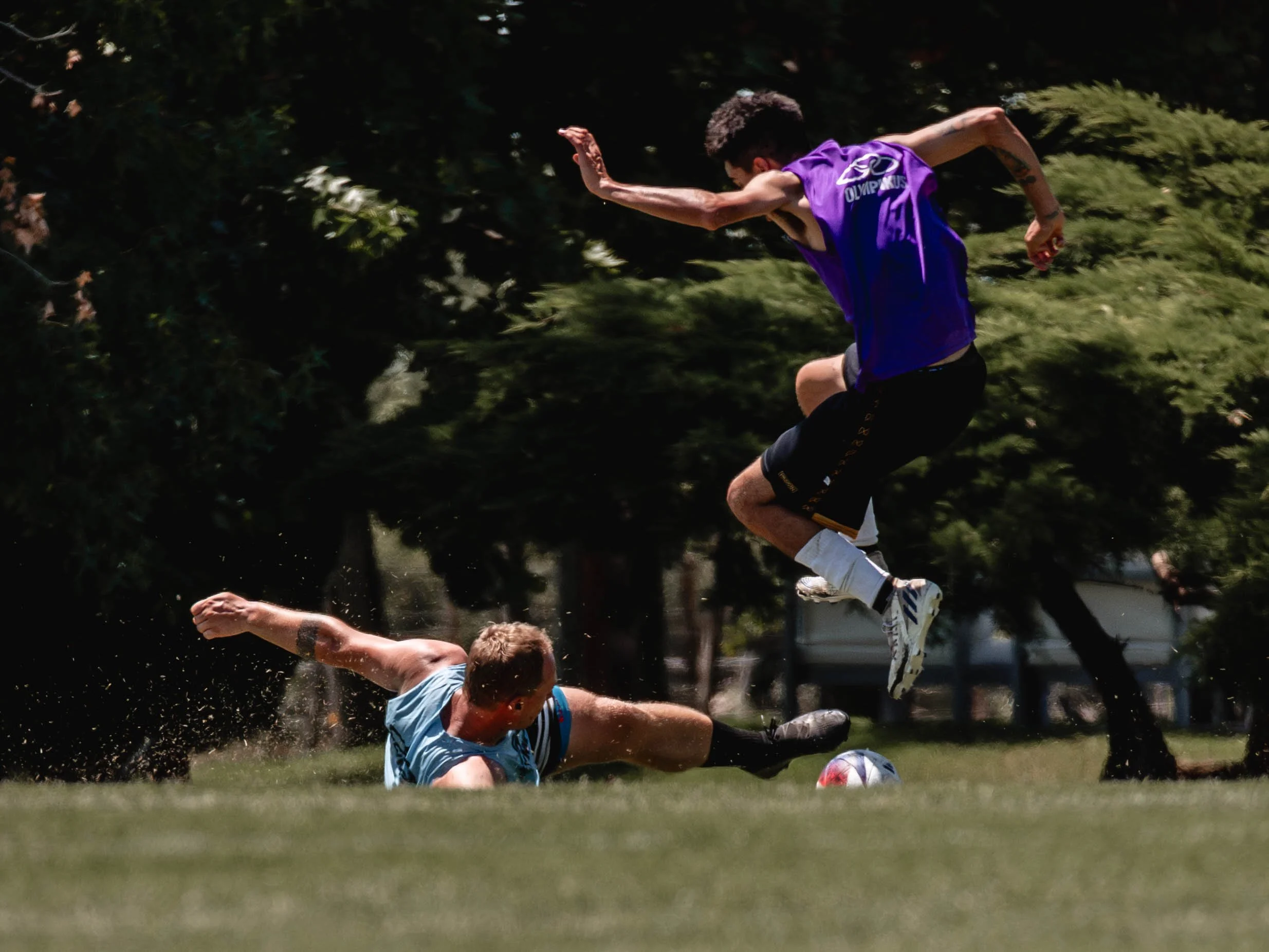 _DSC9327-Enhanced-NR - copia.jpg