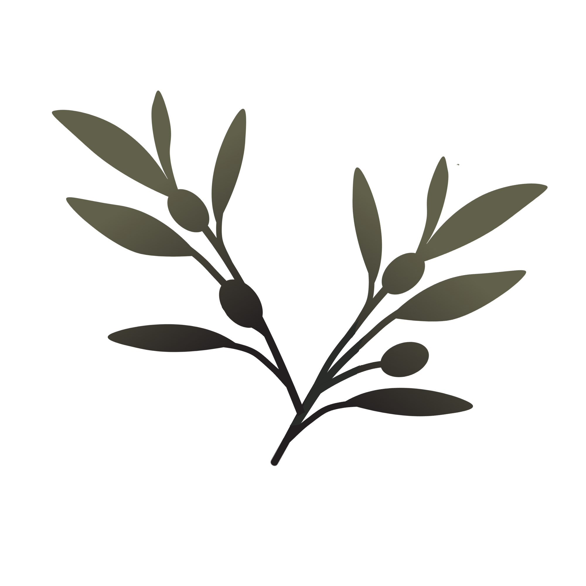 Olive branch as peace symbol in divorce mediation