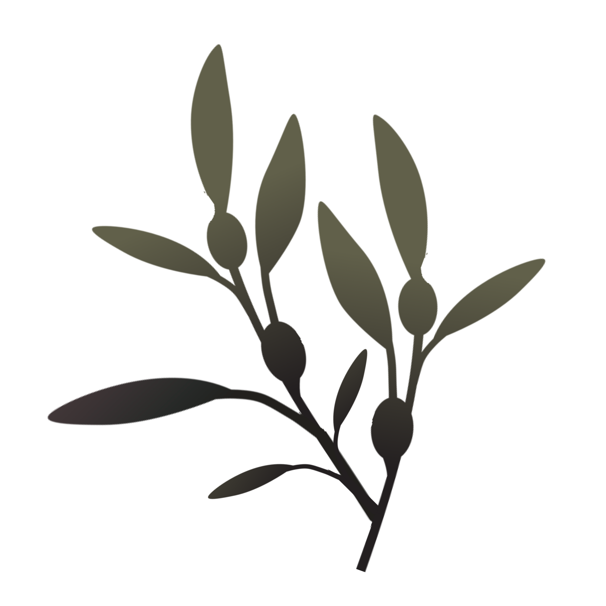 Olive branch representing equal advocacy for both spouses