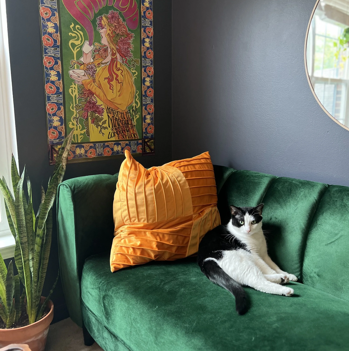 A black and white cat lying on a green velvet sofa next to an orange pillow, with a tall green plant in a terra cotta pot on the left and a colorful vintage-style poster on the wall behind.