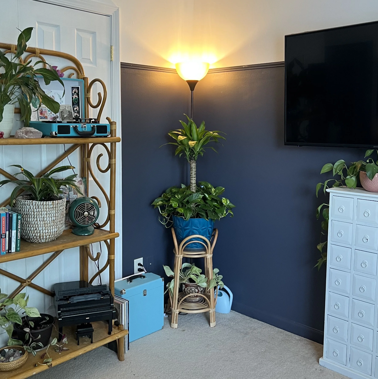 Living room corner with a tall floor lamp casting light, a large potted plant in blue, a wicker plant stand, a white storage cabinet with small drawers, and a wall-mounted flat screen TV. Multiple other plants and decorative items are on shelves and 