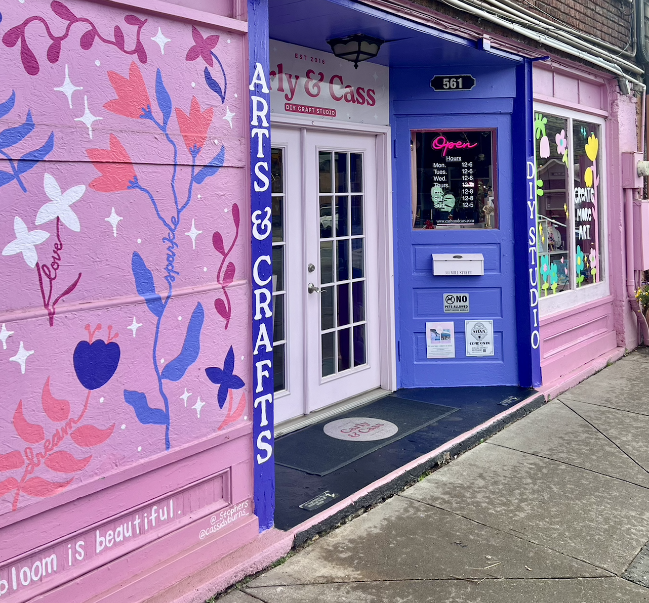 Mural and wording painted on Carly & Cass DIY Studio storefront.