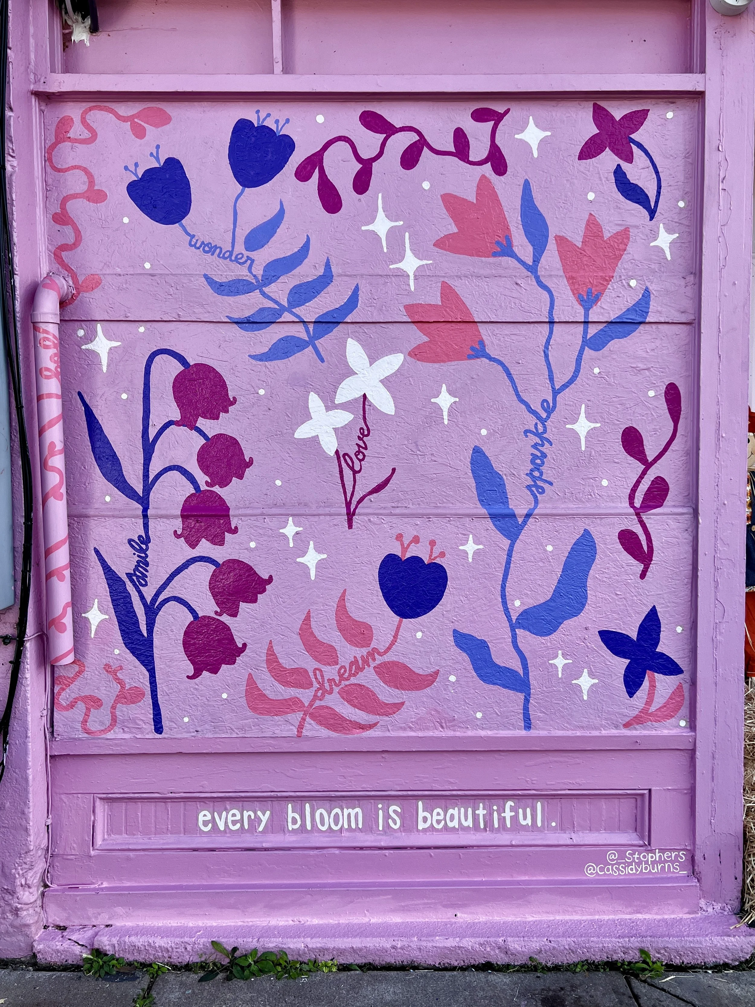 Mural created for Carly & Cass DIY Studio storefront.