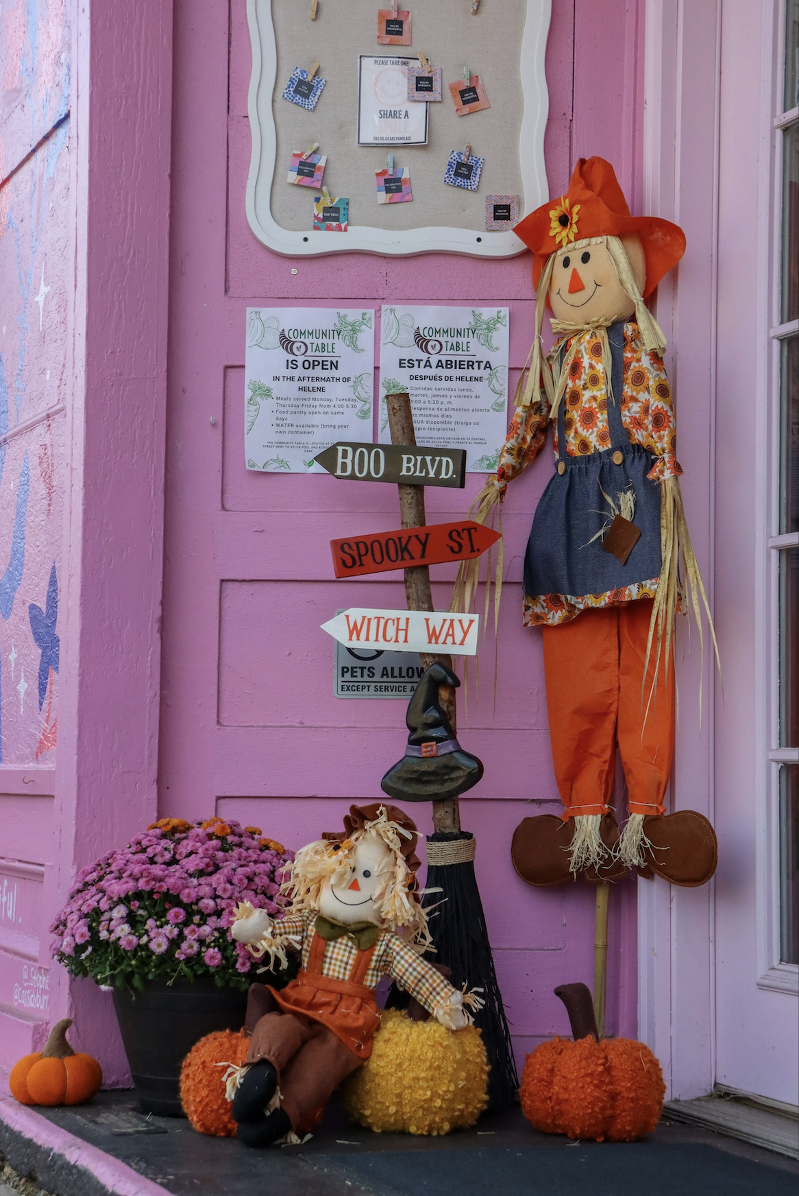 Decorative fall display featuring scarecrows, pumpkins, and flower pot against pink wall with community notice and street signs.