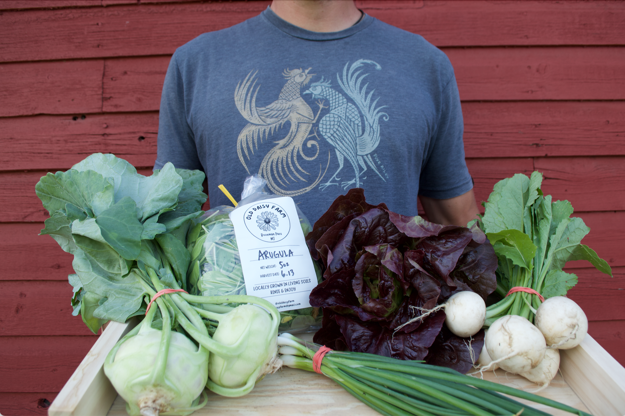 Person holding a wooden tray with fresh vegetables, including hop peppers, lettuce, turnips, and green onions, against a red wooden background.