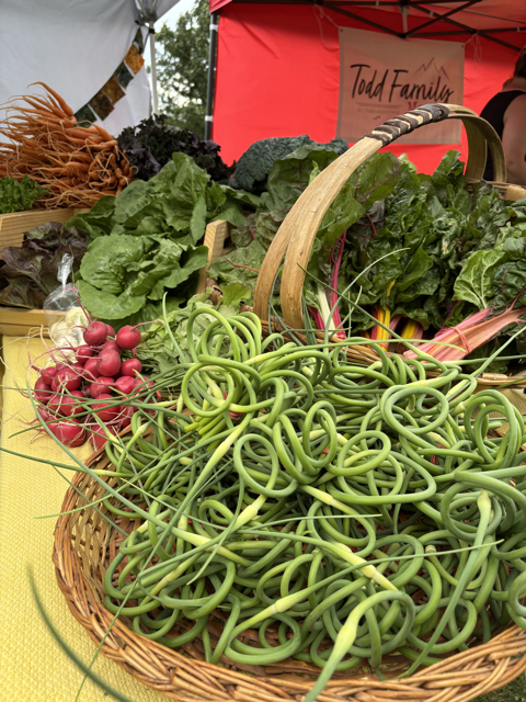 Basket of fresh curly green radishes with leaves, at an outdoor farmers market.
