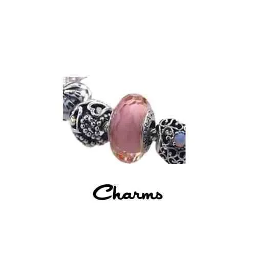 Rare and discontinued Pandora charms