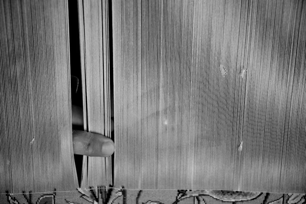 Taro Pood (Warp and Weft) (2013)