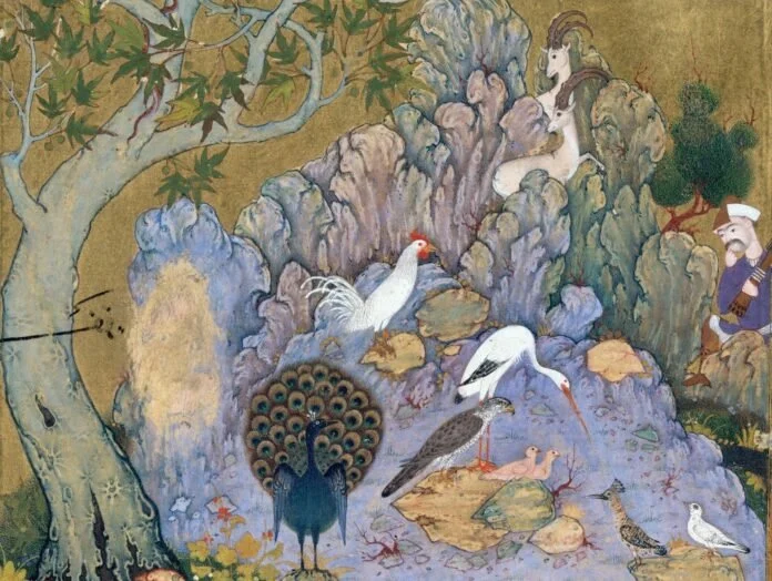 The Language Of The Birds (2023-2025)