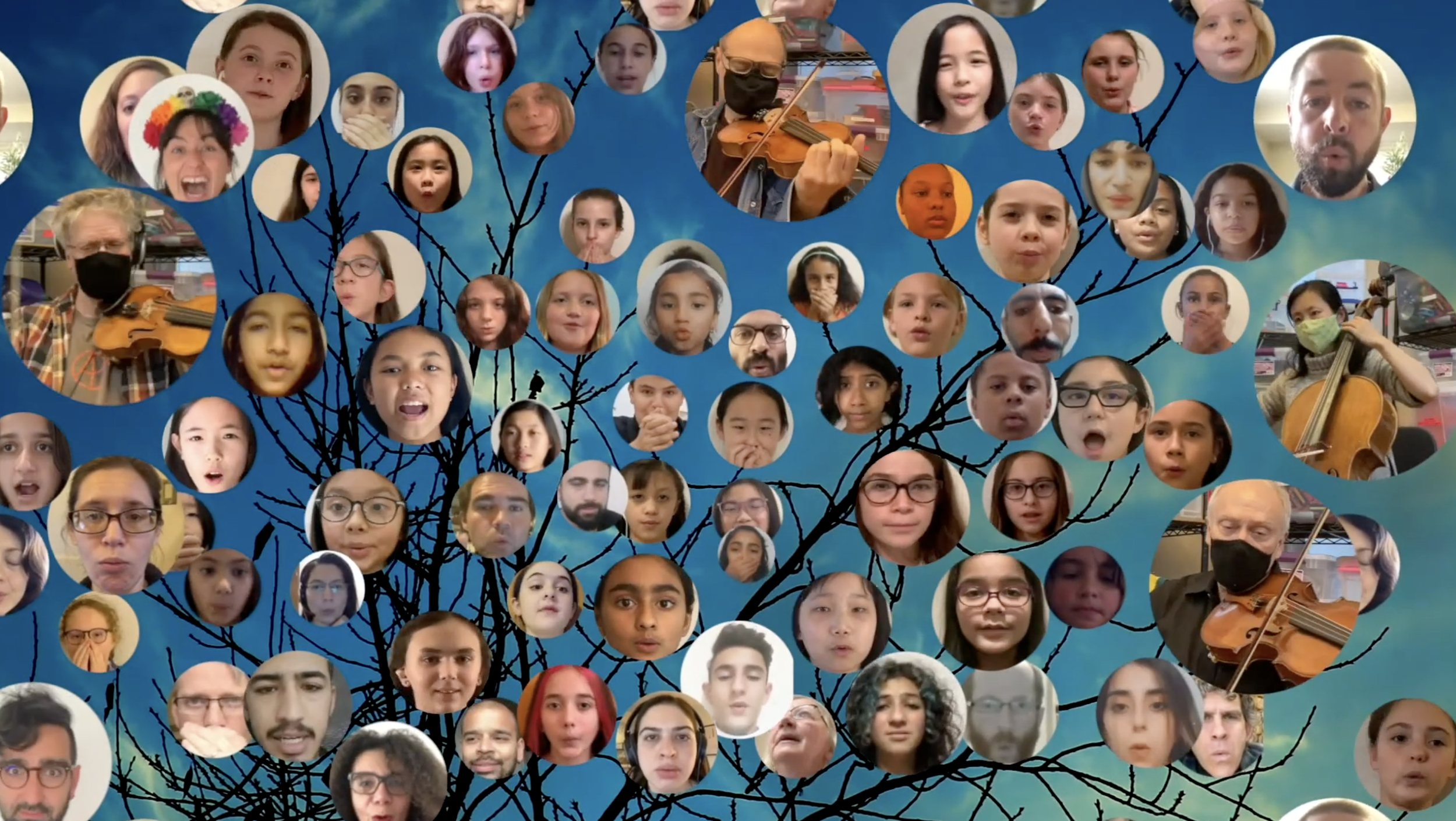 Music of the Birds (2021)