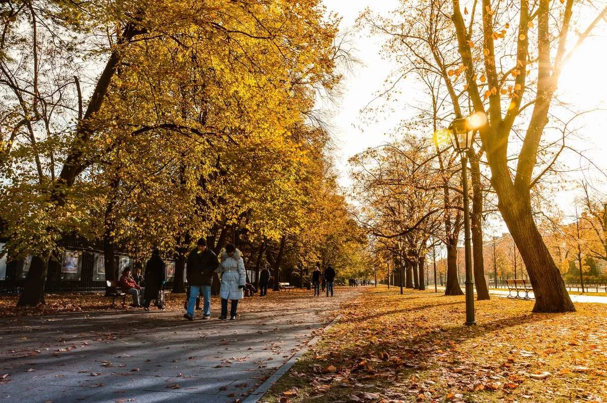 Golden autumn walking path in a Holland, Michigan park.