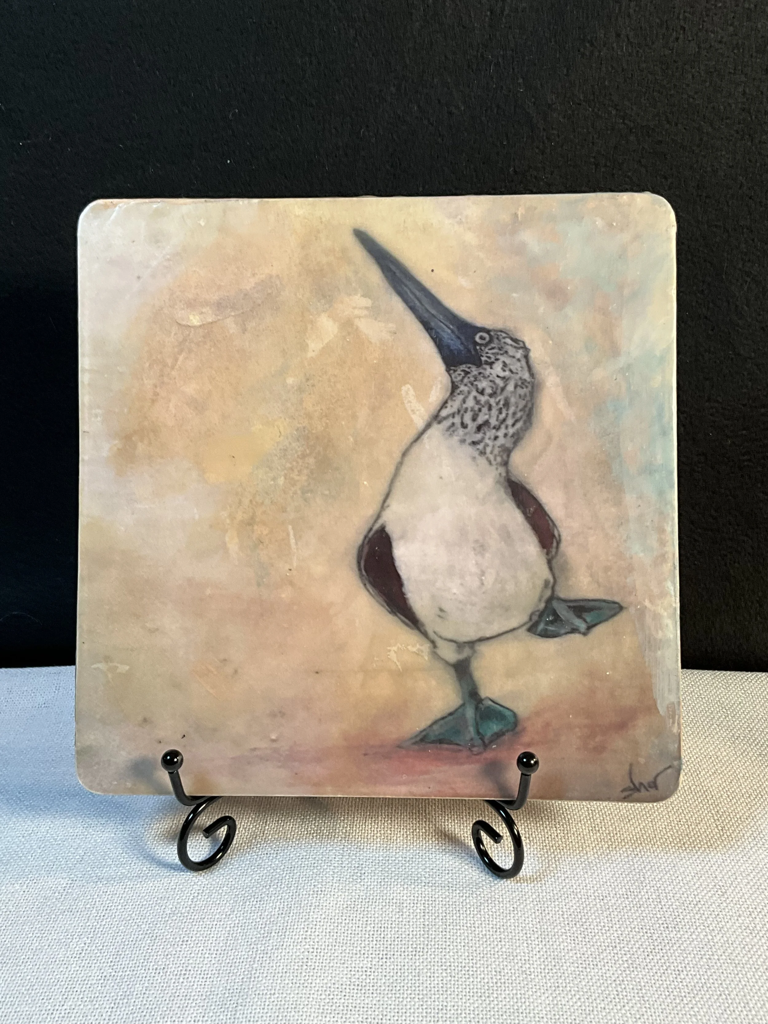 Blue Footed Boobie (Version 2)