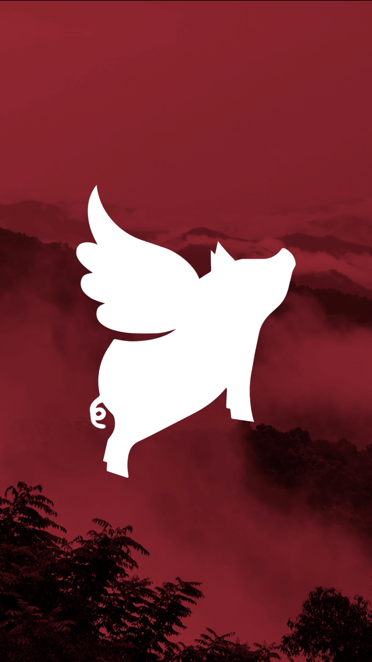 Flying Pig Vacations