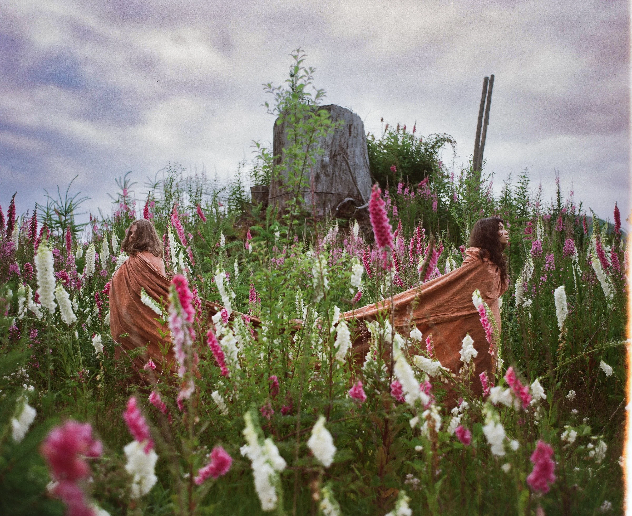 000084640001 (1).jpg