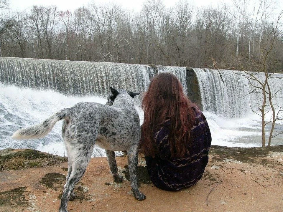A person with long red hair sitting near a dog by a waterfall in a wooded area.