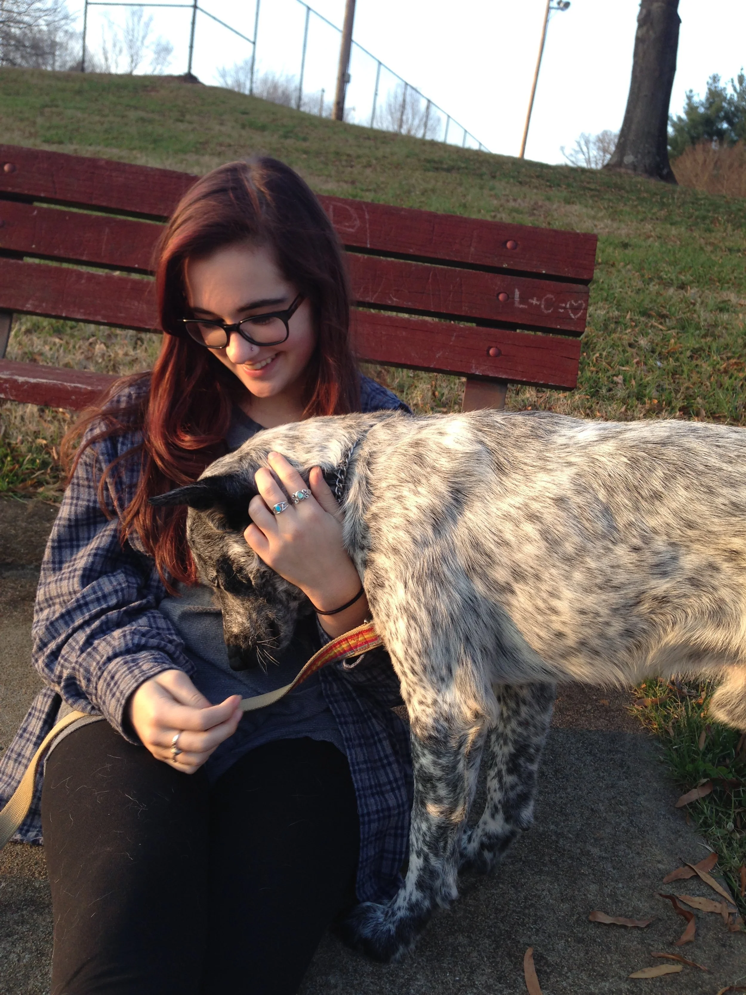 A young woman with long brown hair, glasses, and wearing a plaid jacket is sitting on a park bench, smiling while holding and cuddling a black and white dog.