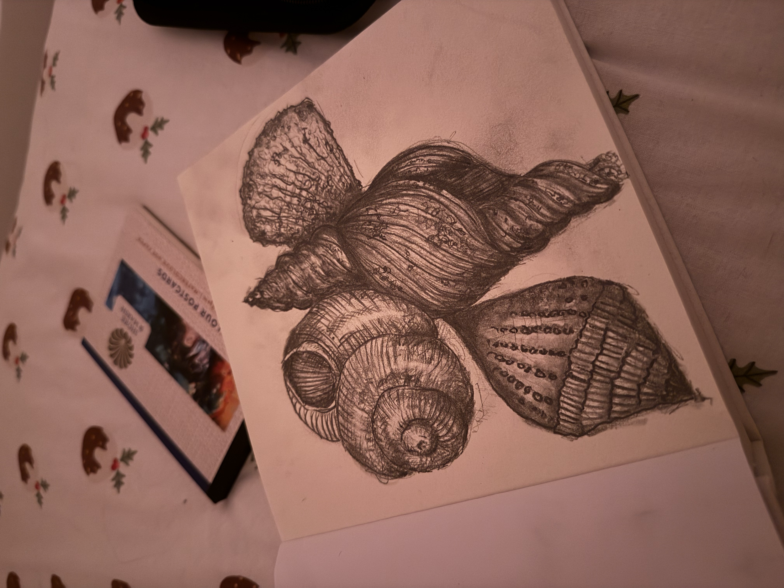 A sketch of three seashells on a white page, with a background tablecloth decorated with reindeer and holly at Christmas.